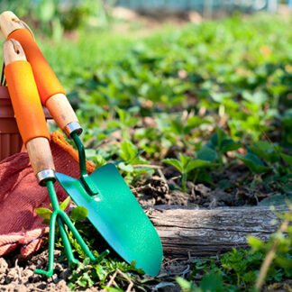 Garden Tools